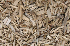 biomass boilers Rhodesia